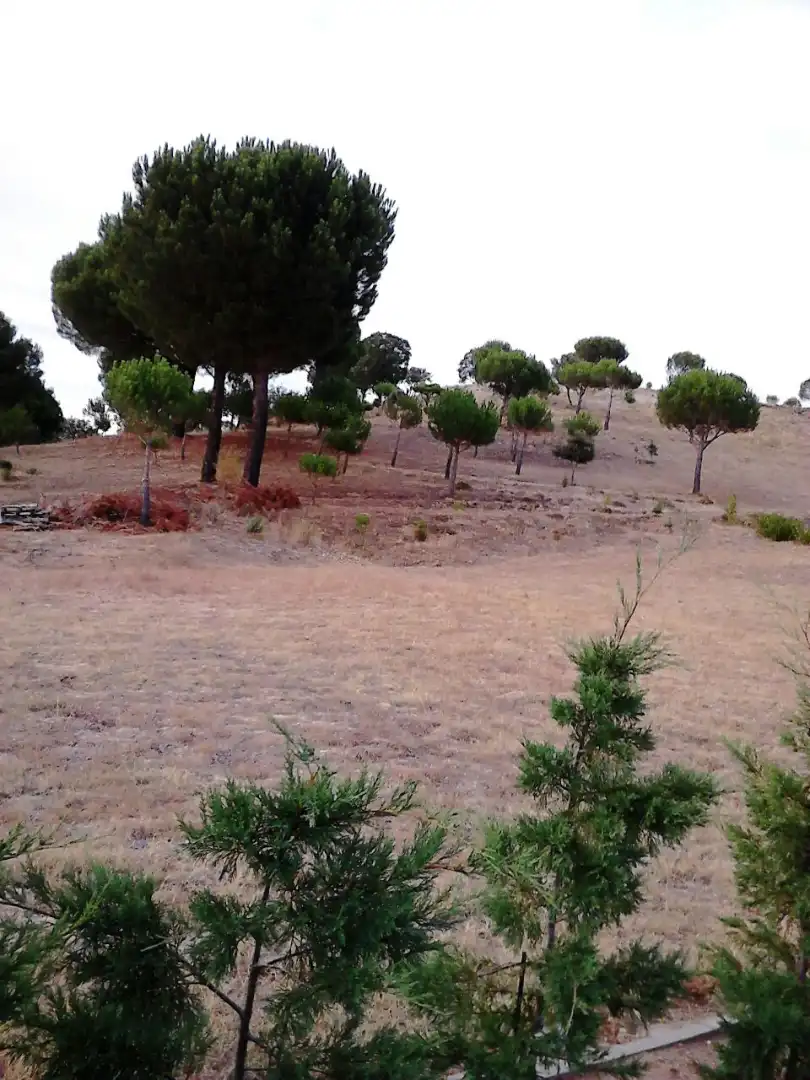 Terreni e lotti in vendita a La Hiniesta, imagen 22
