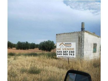 Terreno rustico in vendita a Manzanares
