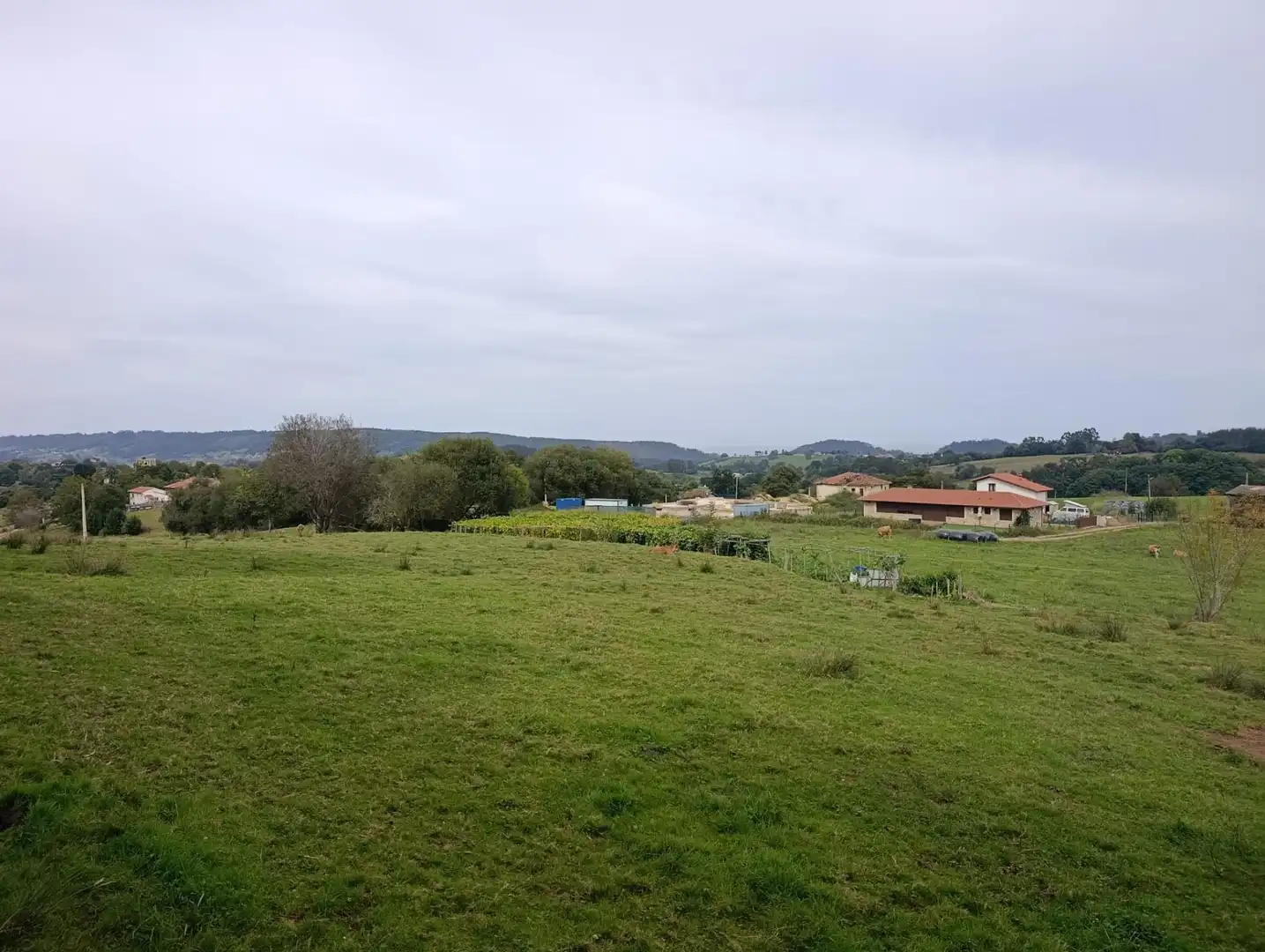 Rustikales Grundstück zum Verkauf in Carretera Piñera (Noriega) 0, imagen 35