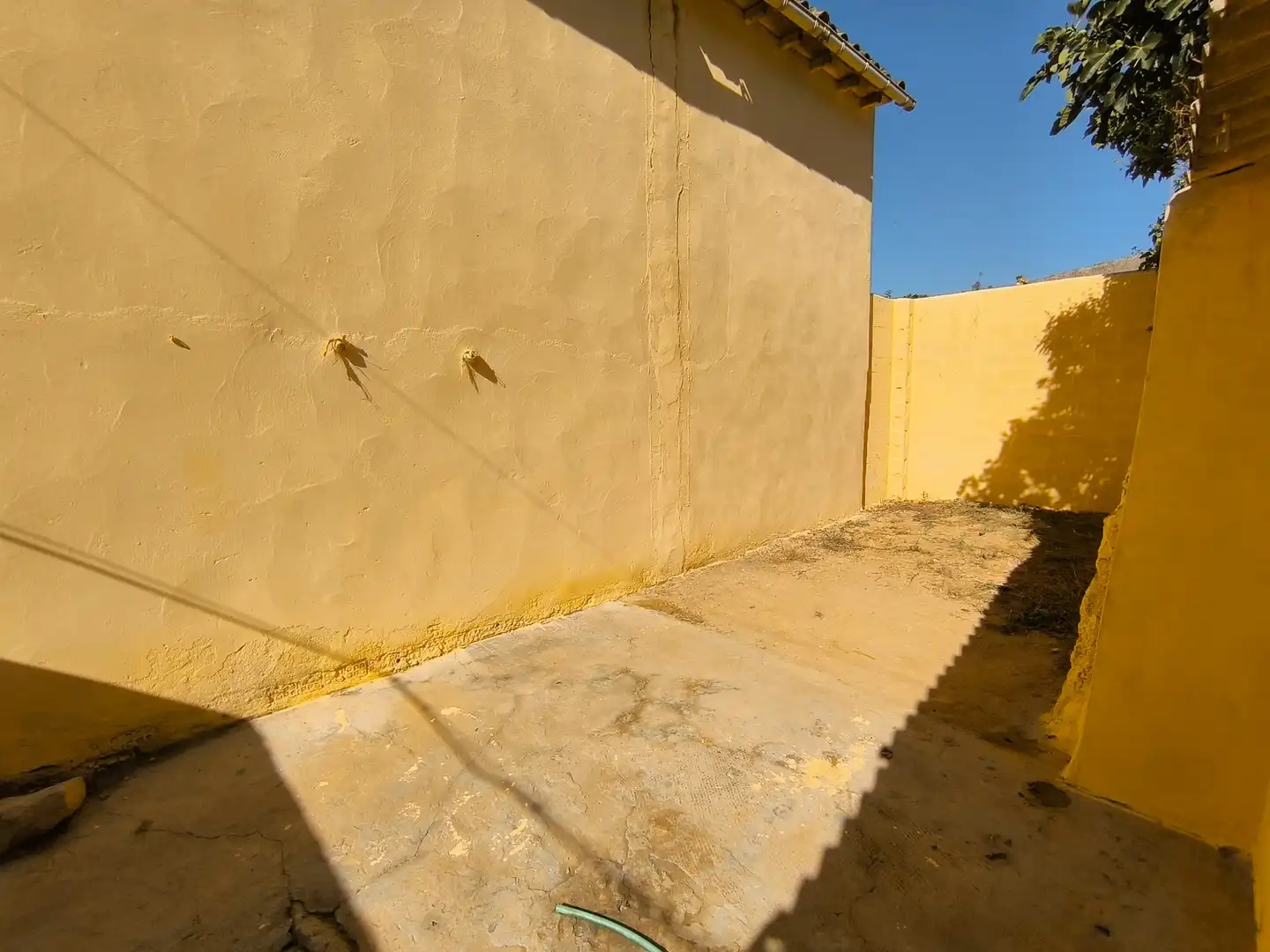 Vista exterior de Casa o chalet en venta en Castromocho con Jardín privado y Trastero