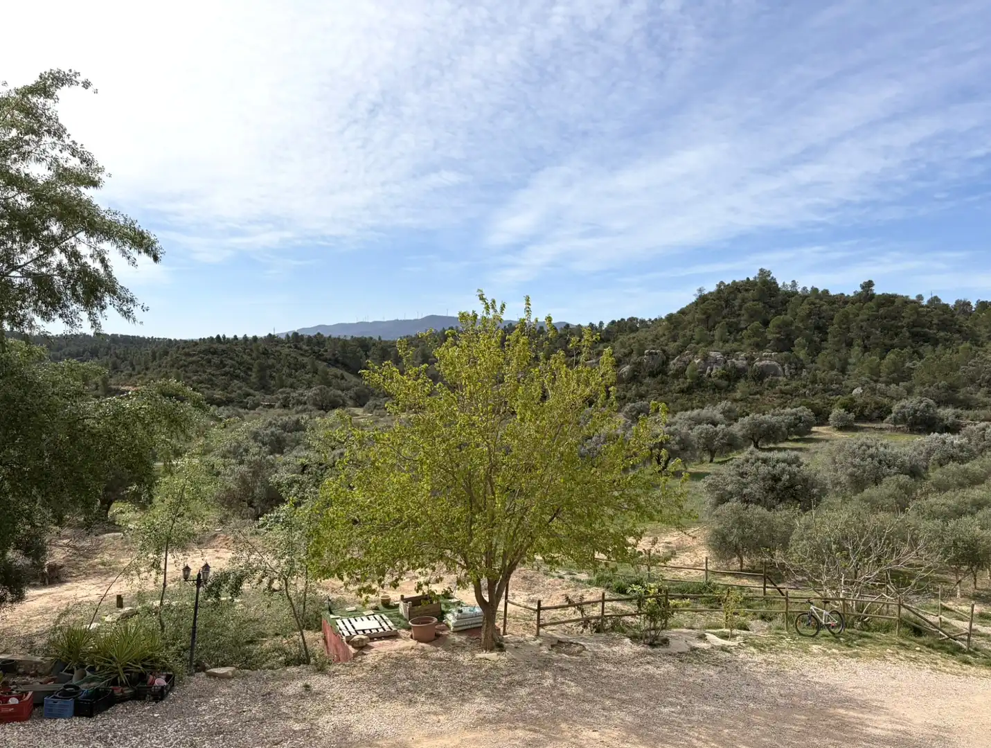 Jardín de Finca rústica en venta en Flix