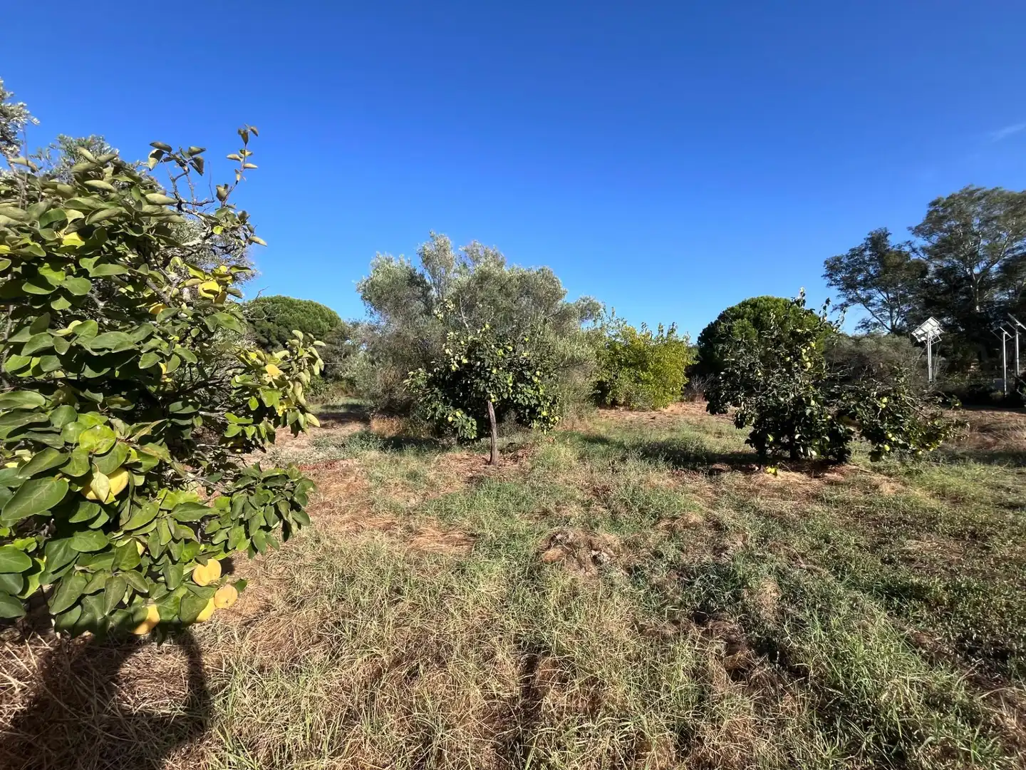 Country house for sale in Polígono 13 Paraje 163 VALDEMUL, imagen 22