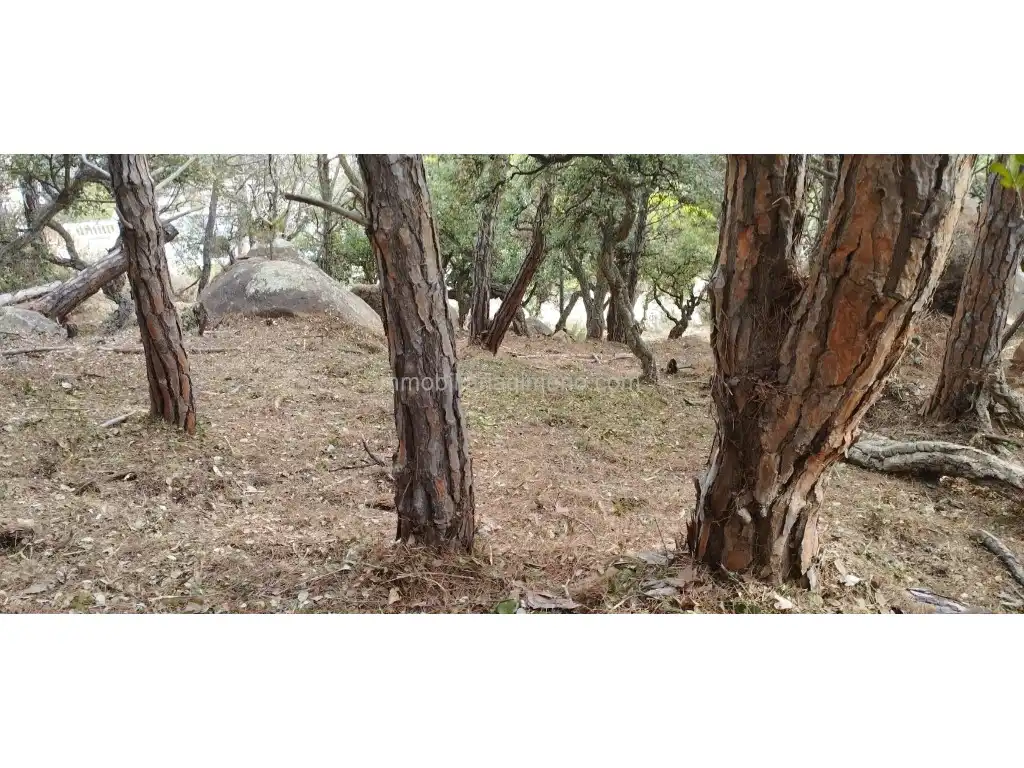 Wohnbaugrundstück zum Verkauf in Roca Grossa, imagen 7