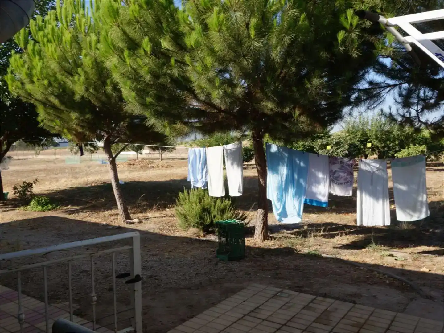 Jardí de Finca rústica en venda en  Murcia Capital amb Aire condicionat i Piscina