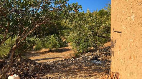 Foto 2 de Finca rústica en venta en Xerta, Tarragona