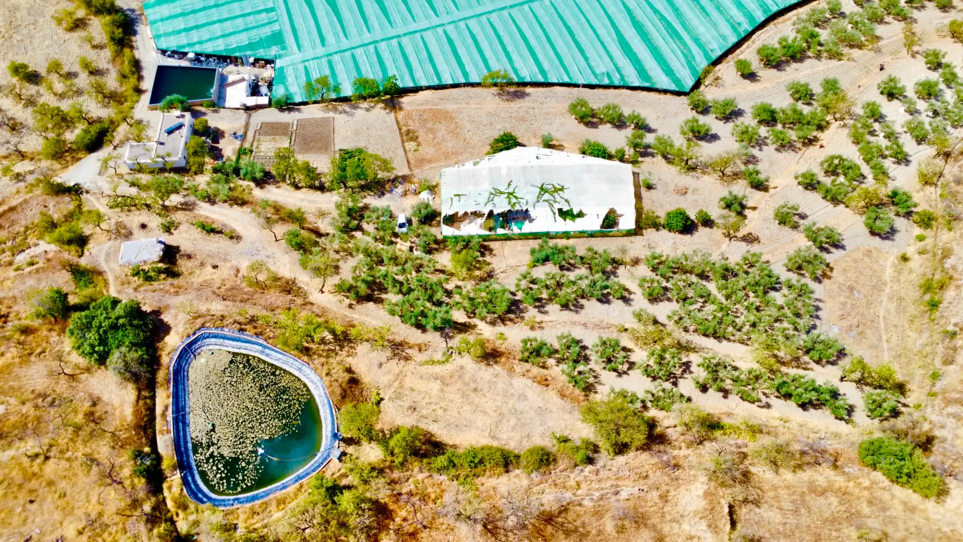 Terreno rustico in vendita a N/A, imagen 14