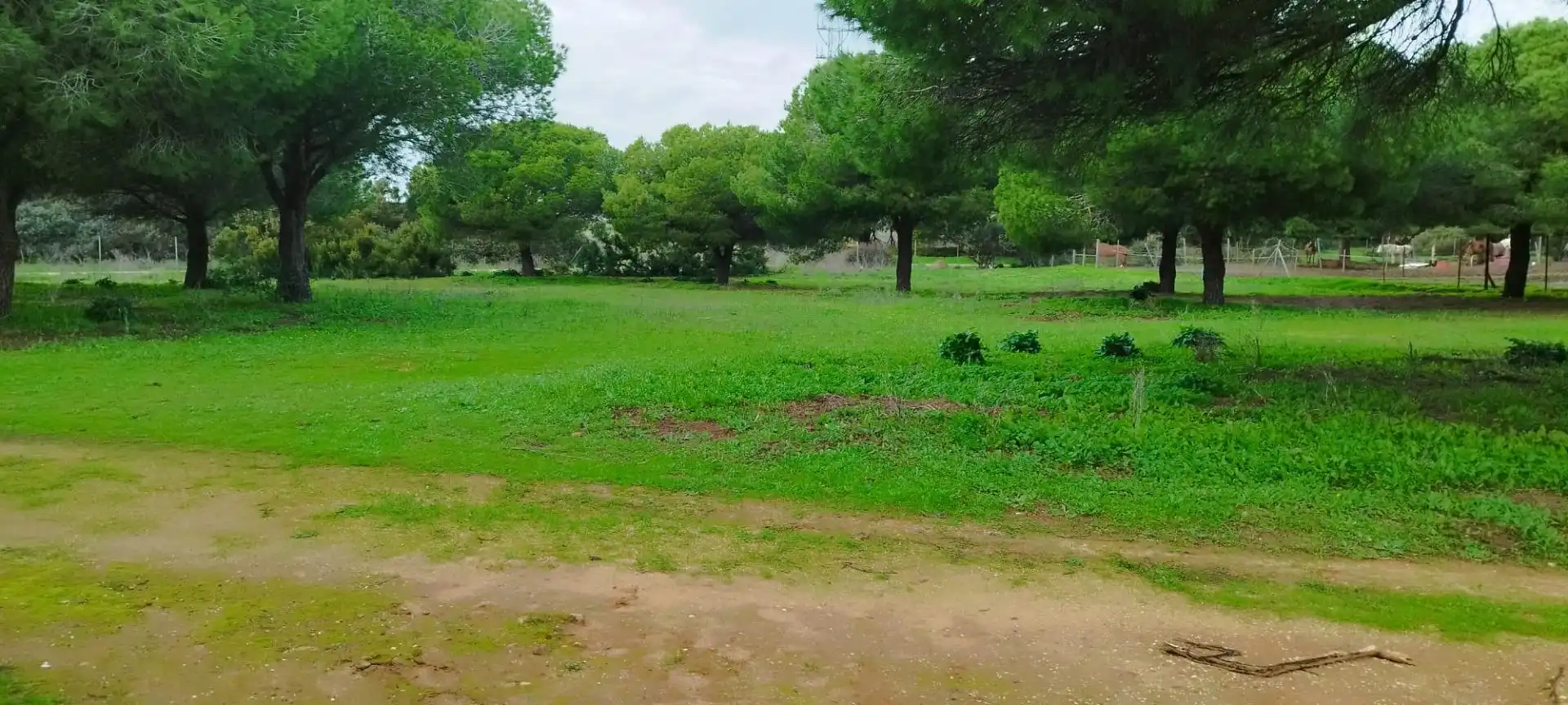 Casa o chalet en venta en Puerto Real
