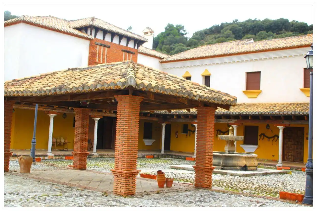Inmuebles singulares con ascensor en venta en Diezma, imagen 28
