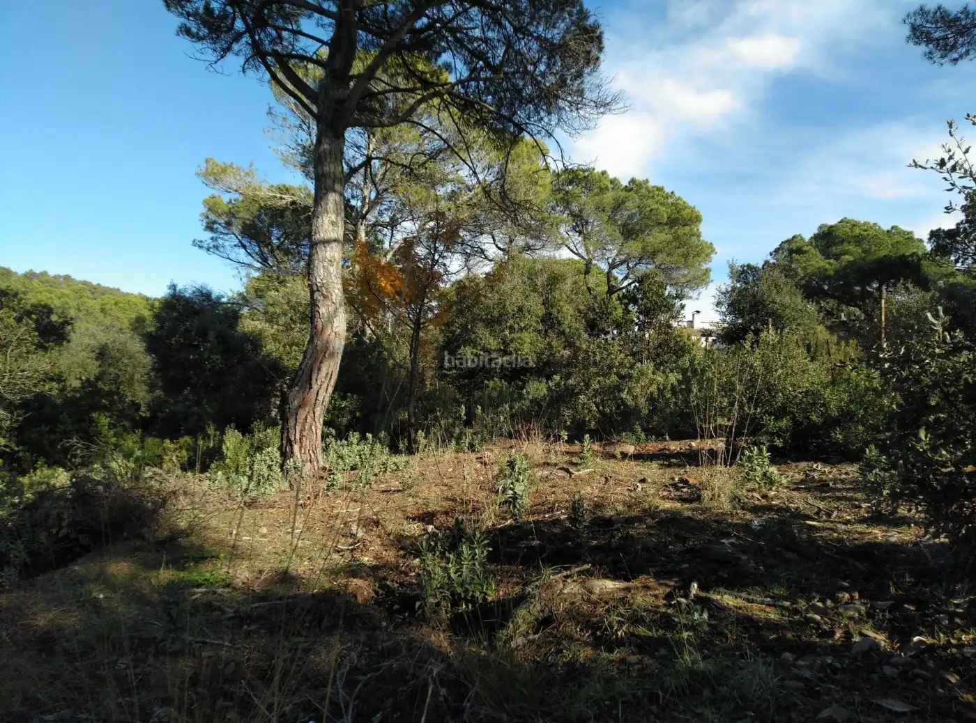 Terreny residencial en venda a Carrer Torrent del Llort 37, imagen 5
