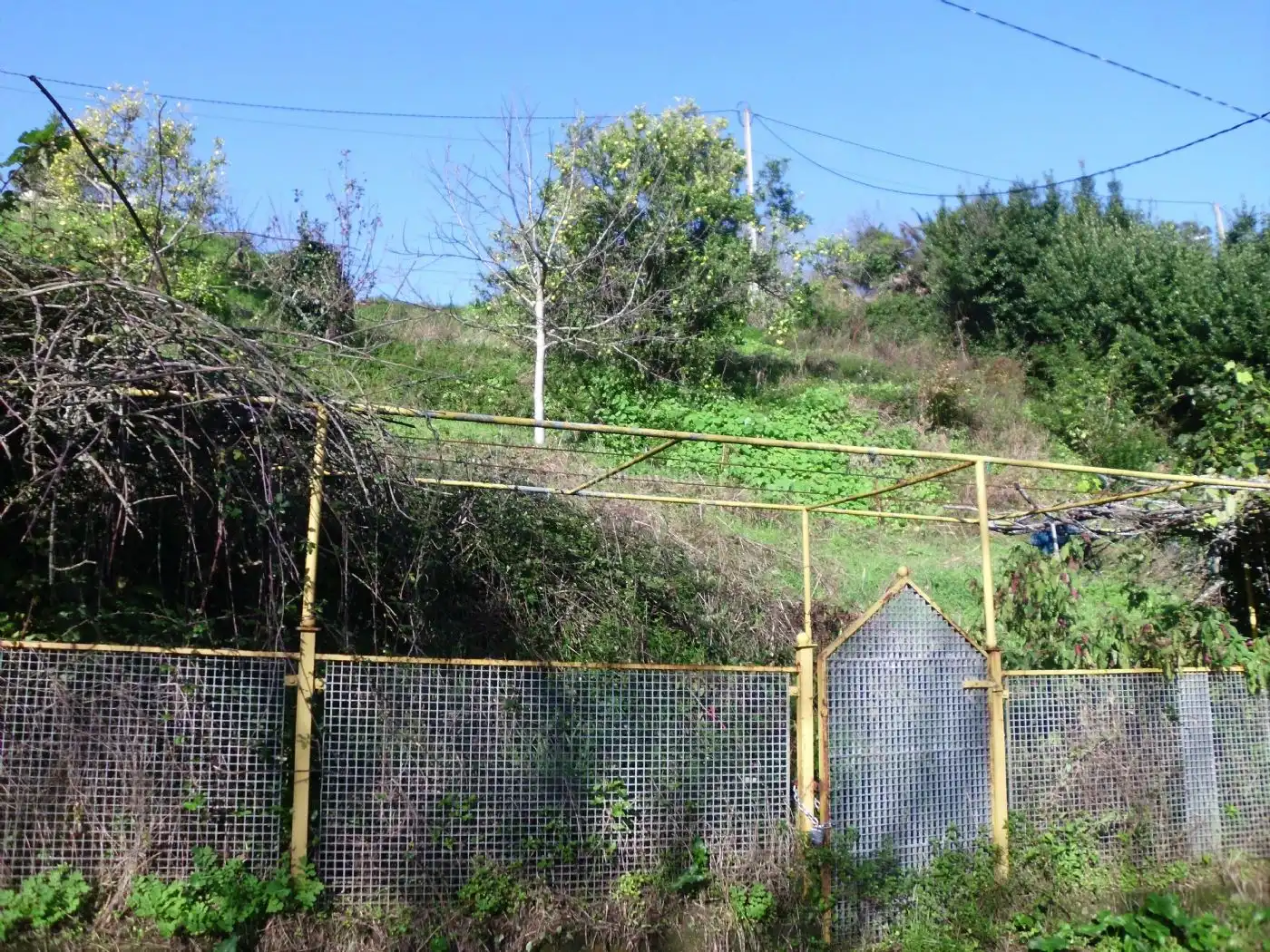 Terreni e lotti in vendita a Estrada Viñas 34