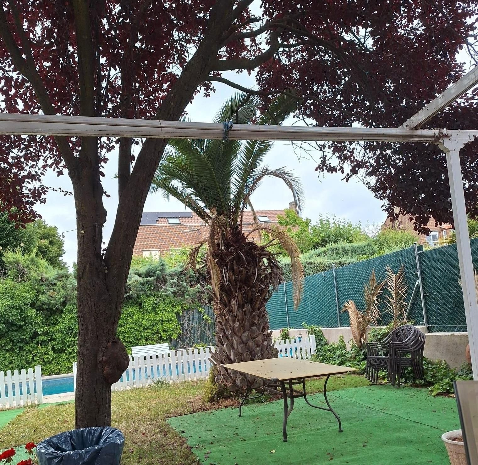 Jardí de Casa adosada en venda en Rivas-Vaciamadrid amb Calefacció, Jardí privat i Parquet