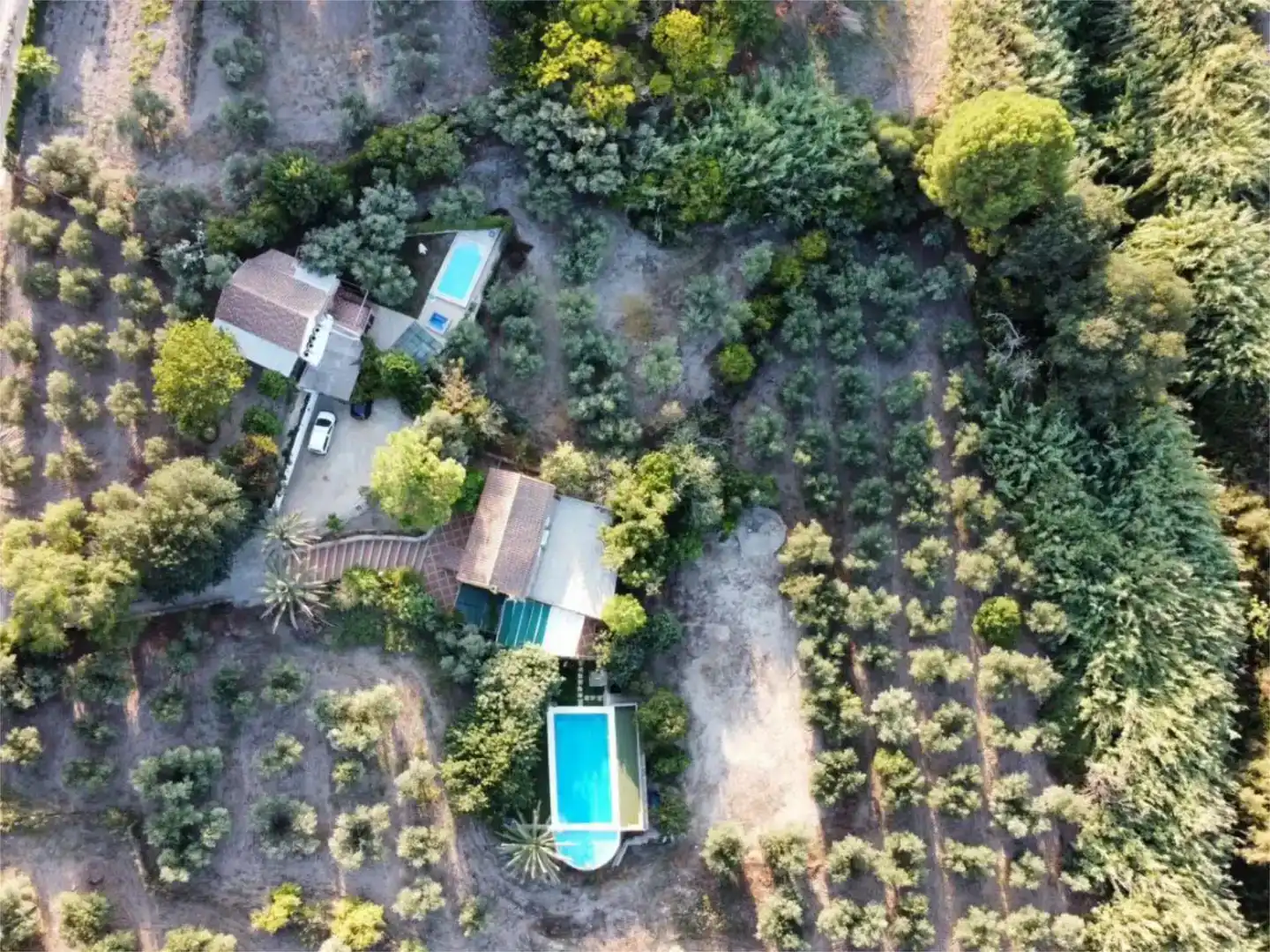 Finca rústica en venda en Morón de la Frontera