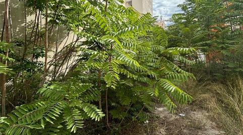 Photo 4 of Residential for sale in Vazquez Mella, Ensanche - Parque del Oeste, Castellón de la Plana / Castelló de la Plana