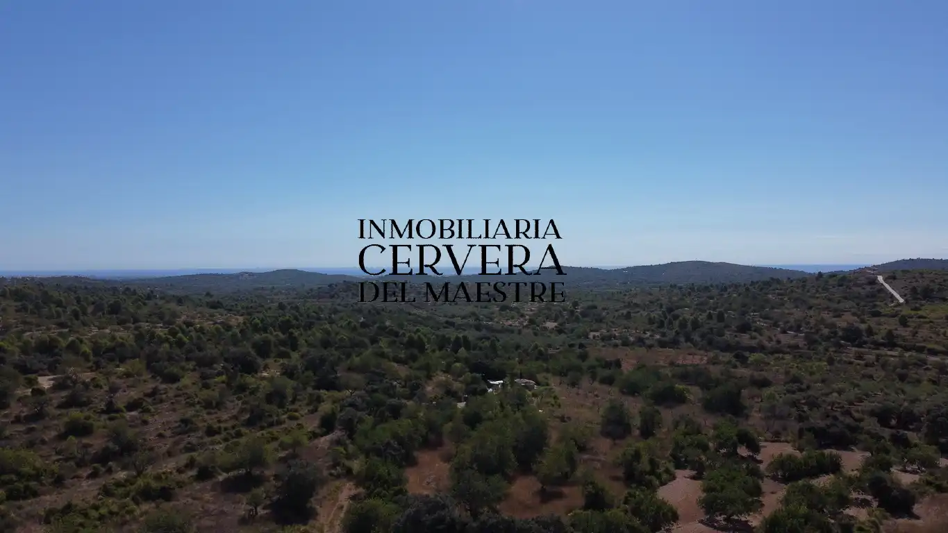 Terreno rustico in vendita a Cervera del Maestre, imagen 6