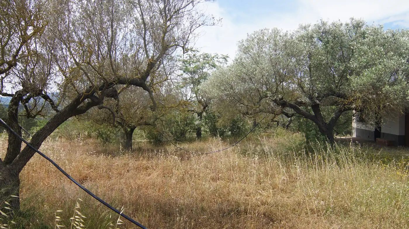 Terreno en venta en Ginestar
