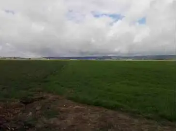Residencial en venda en Palenzuela