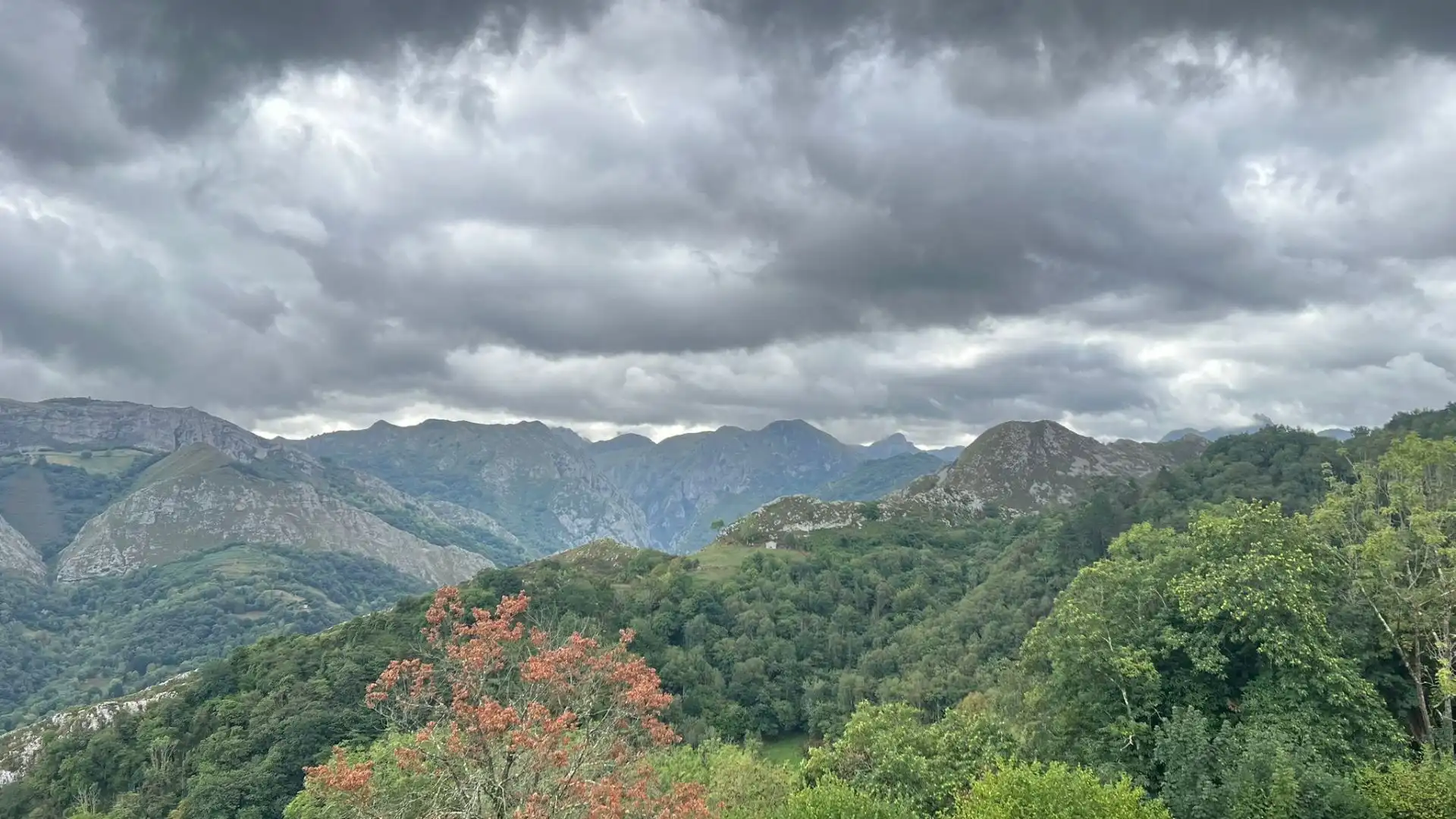 Terrenos y solares en venta en Parres, imagen 7