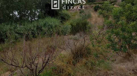 Foto 5 de Finca rústica en venta en Xgpg+h5x, Benifallet, Tarragona