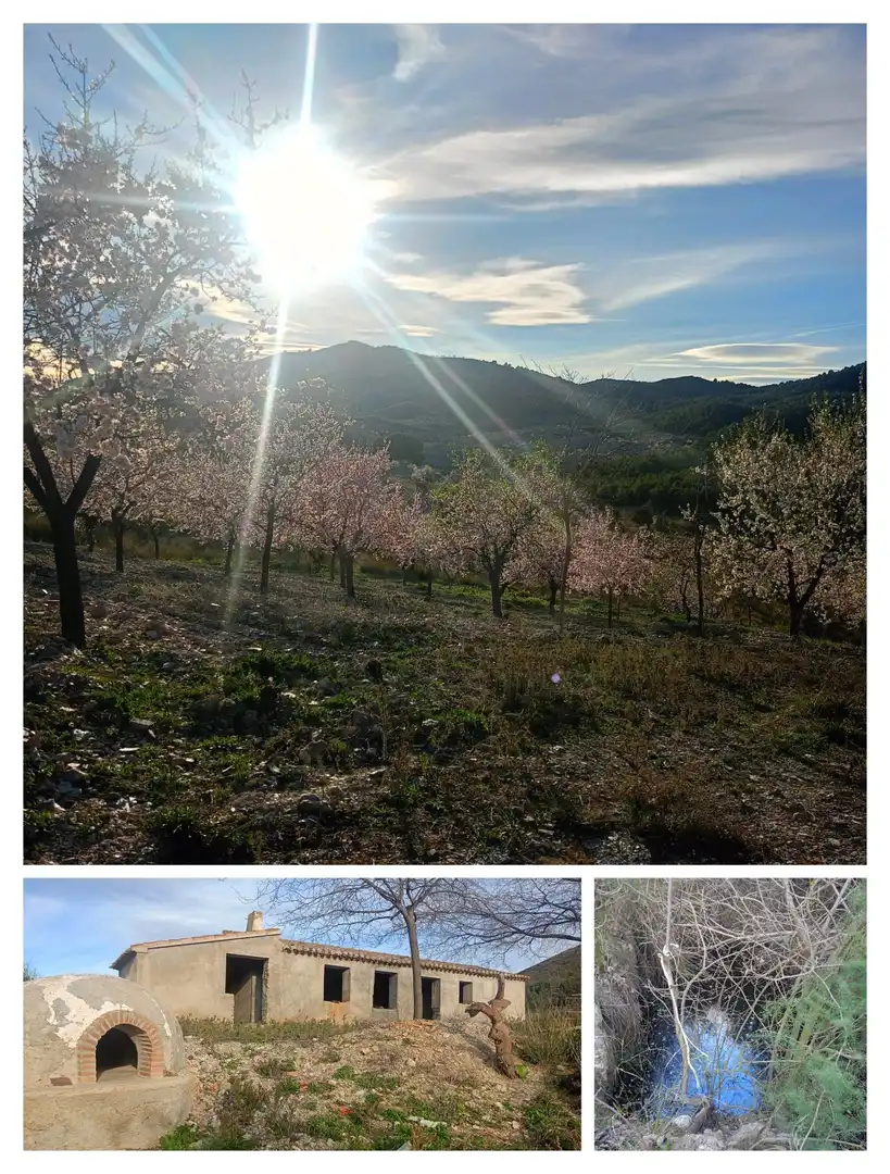 Maison rustique à vendre à Pedanías Centro