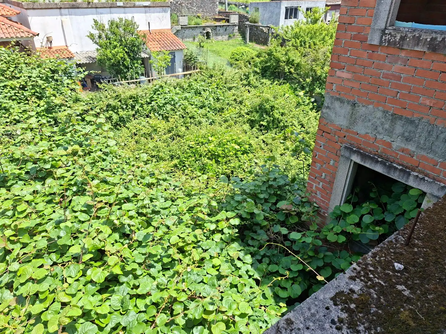 Residenziale in vendita a A Guarda, imagen 21
