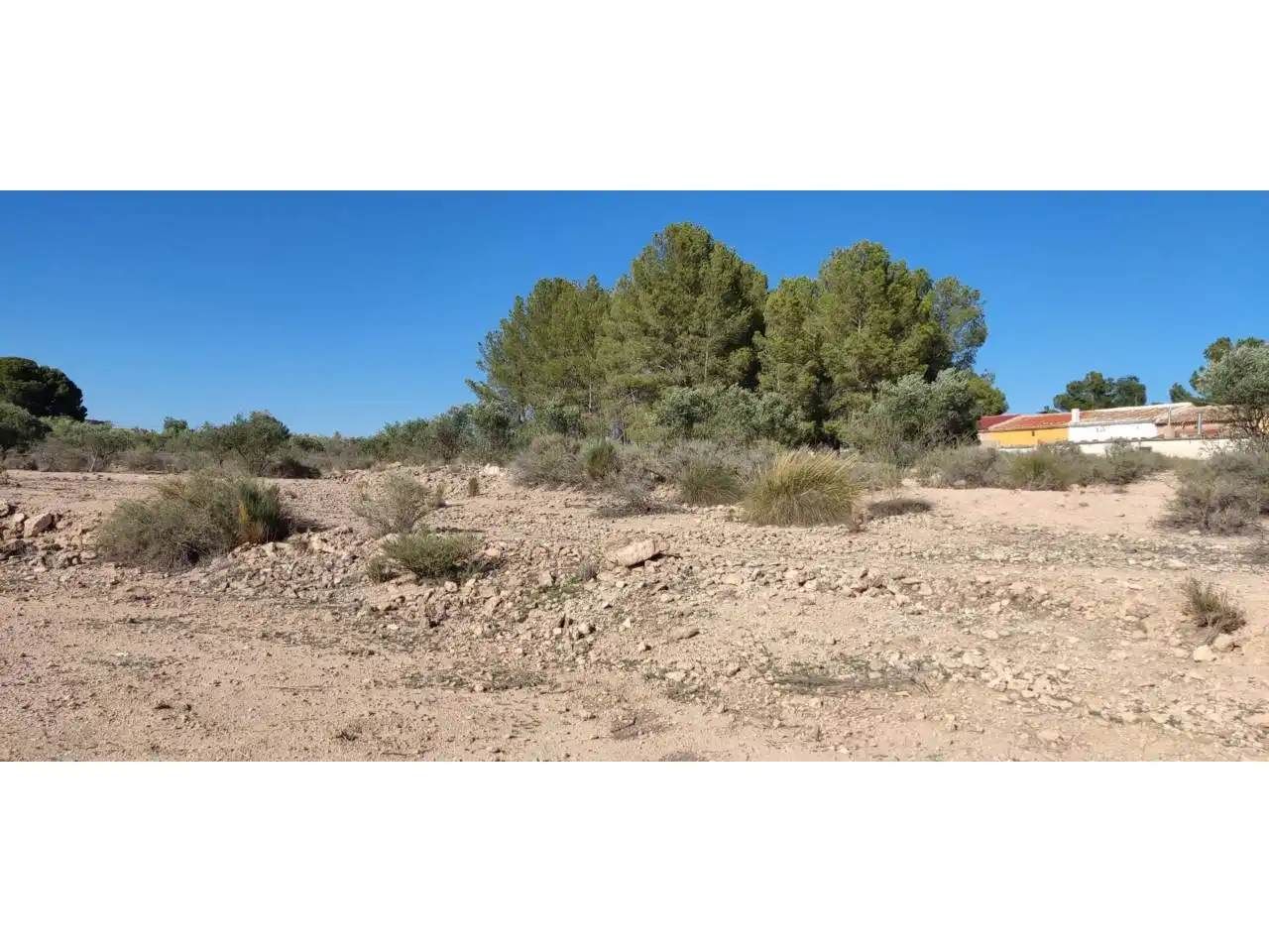 Terrenos y solares en venta en Hellín, imagen 7
