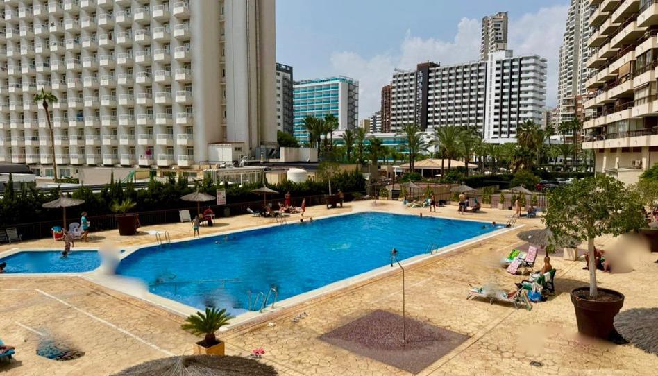 Foto 1 de Estudi en venda a Avenida Juan Fuster Zaragoza, Rincón Bajo, Alicante