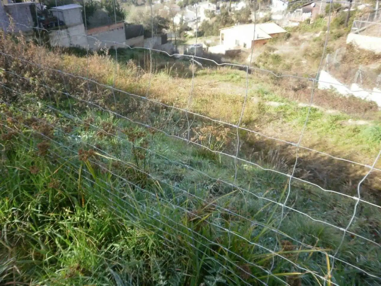 Terreno rustico in vendita a Mas Altaba - El Molí, imagen 3