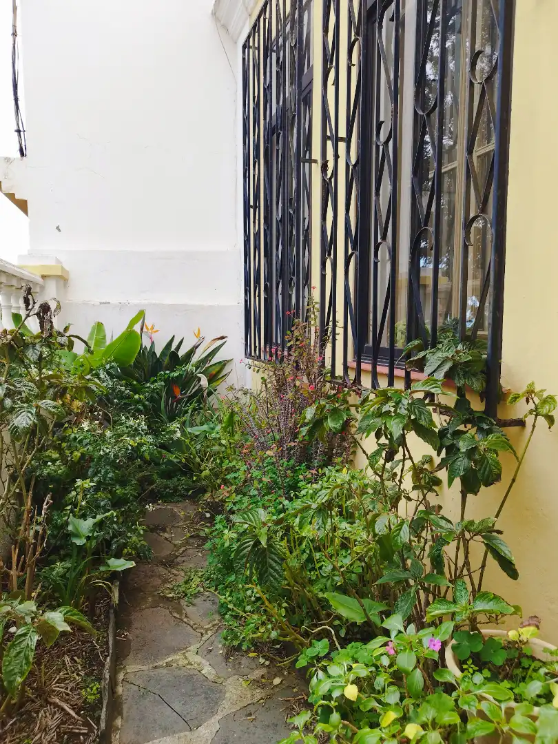 Casa o xalet en venda a GC-111, Tafira