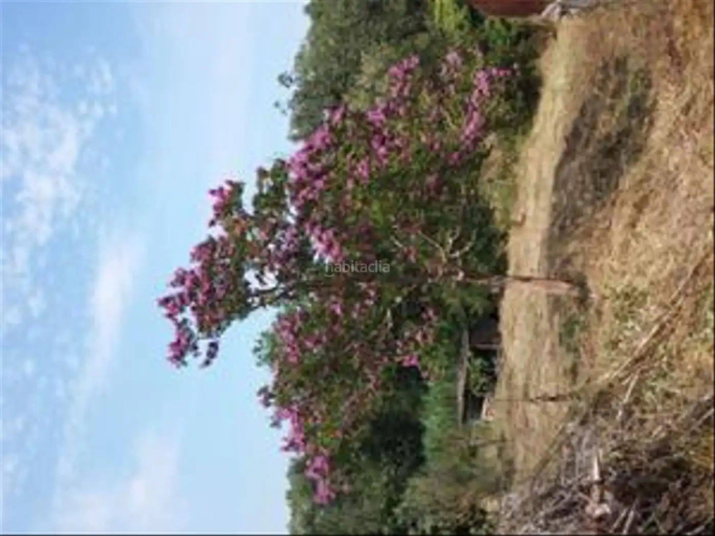 Terreno residencial en venta en Carrer Amer 29, imagen 12