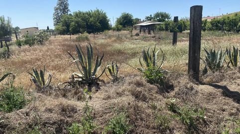 Foto 4 von Residential zum Verkauf in Villanueva de la Serena, Badajoz