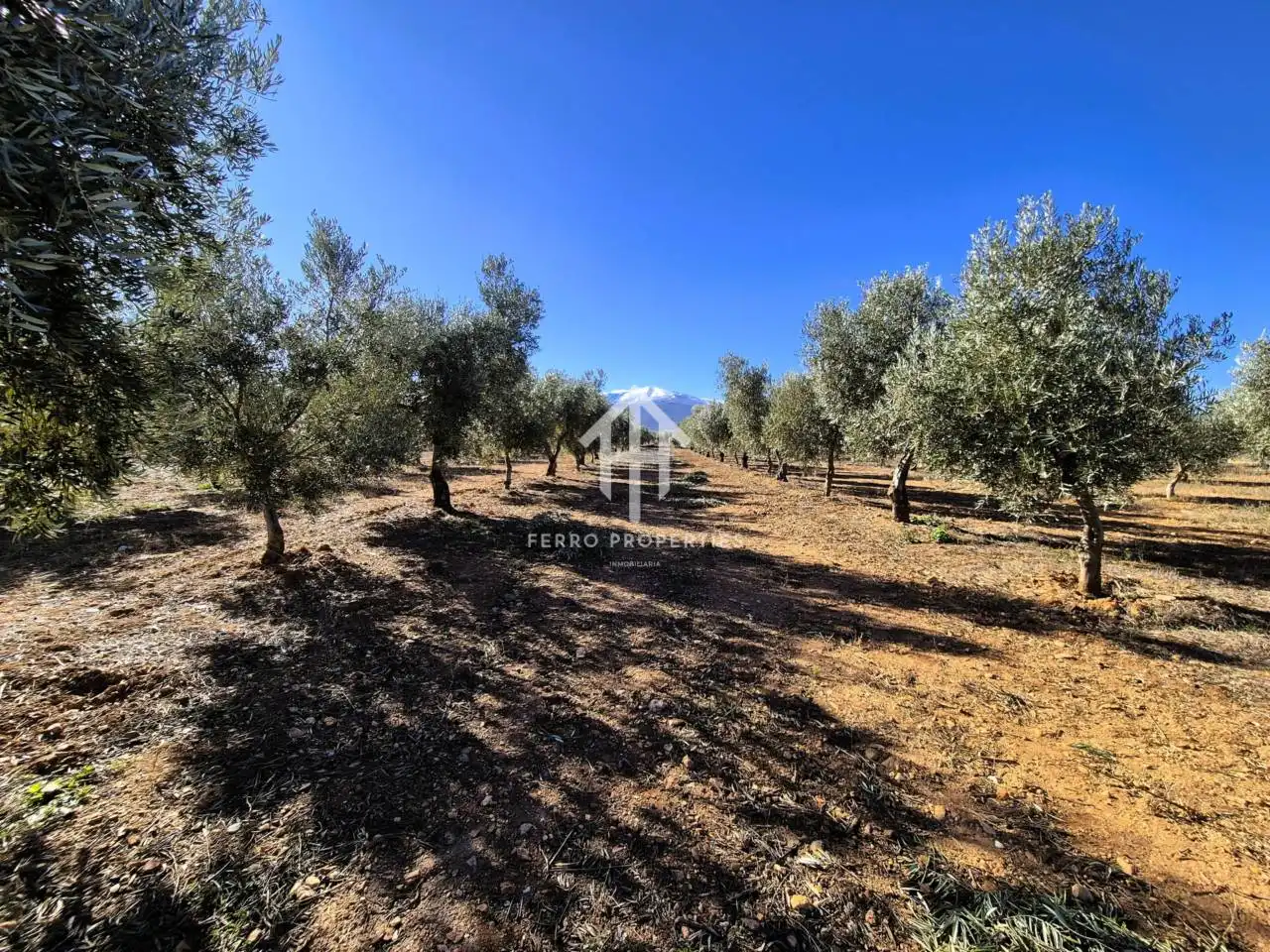 Lands and plots for sale in Lanteira, imagen 60