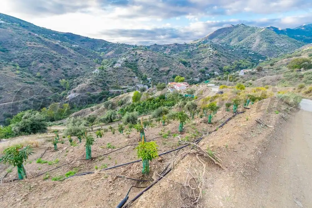 Rustikales Grundstück zum Verkauf in Torrox Pueblo, imagen 12