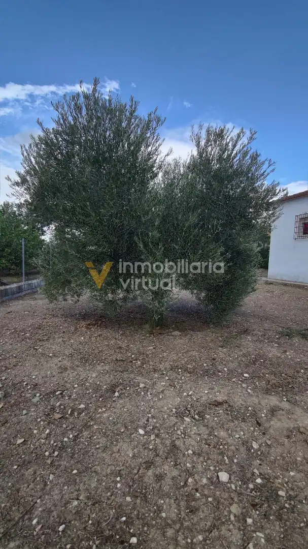 Detached house for sale in Camino de los Poleares, imagen 21