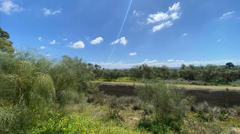 Foto 5 de Residencial en venda a Polígono 8, El Juncal - Vallealto, Cádiz