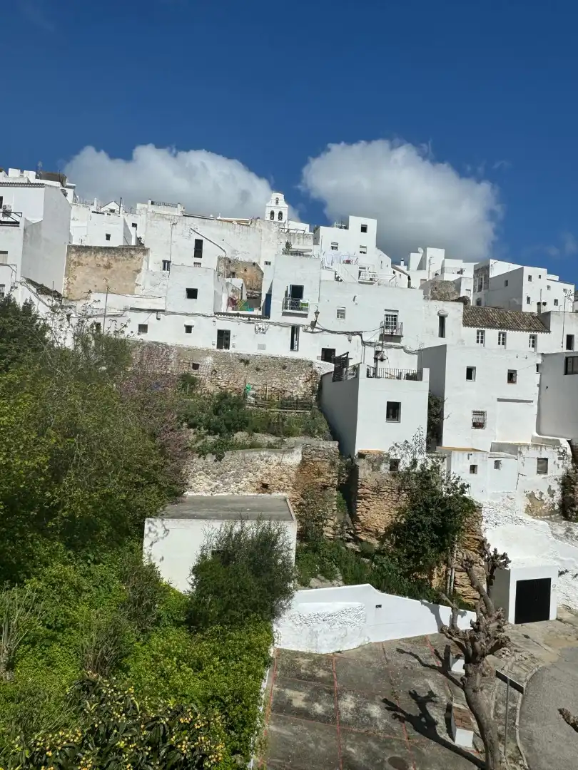 Vista exterior de Casa o chalet en venta en Vejer de la Frontera con Amueblado y Balcón