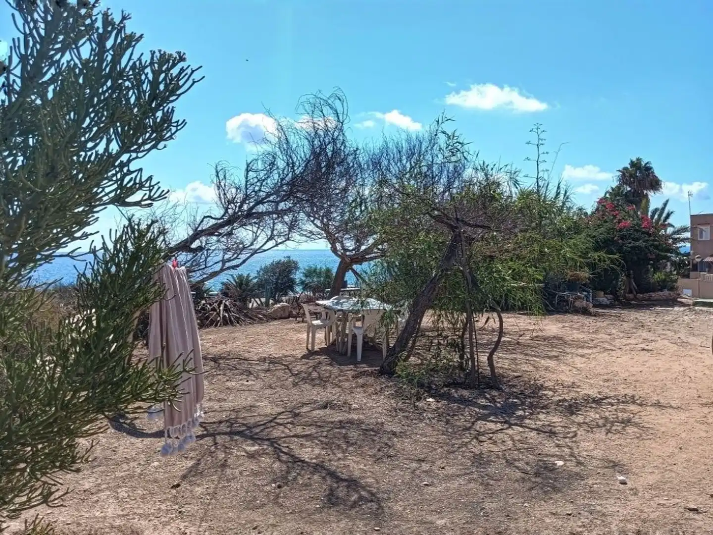 Jardín de Finca rústica en venta en Santa Pola con Jardín privado