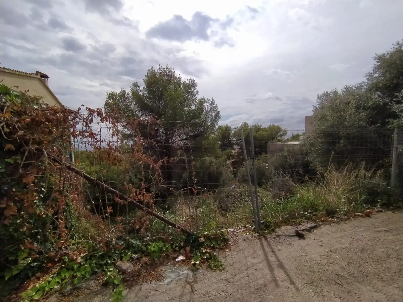 Terreno rustico in vendita a ANTILLES, imagen 3