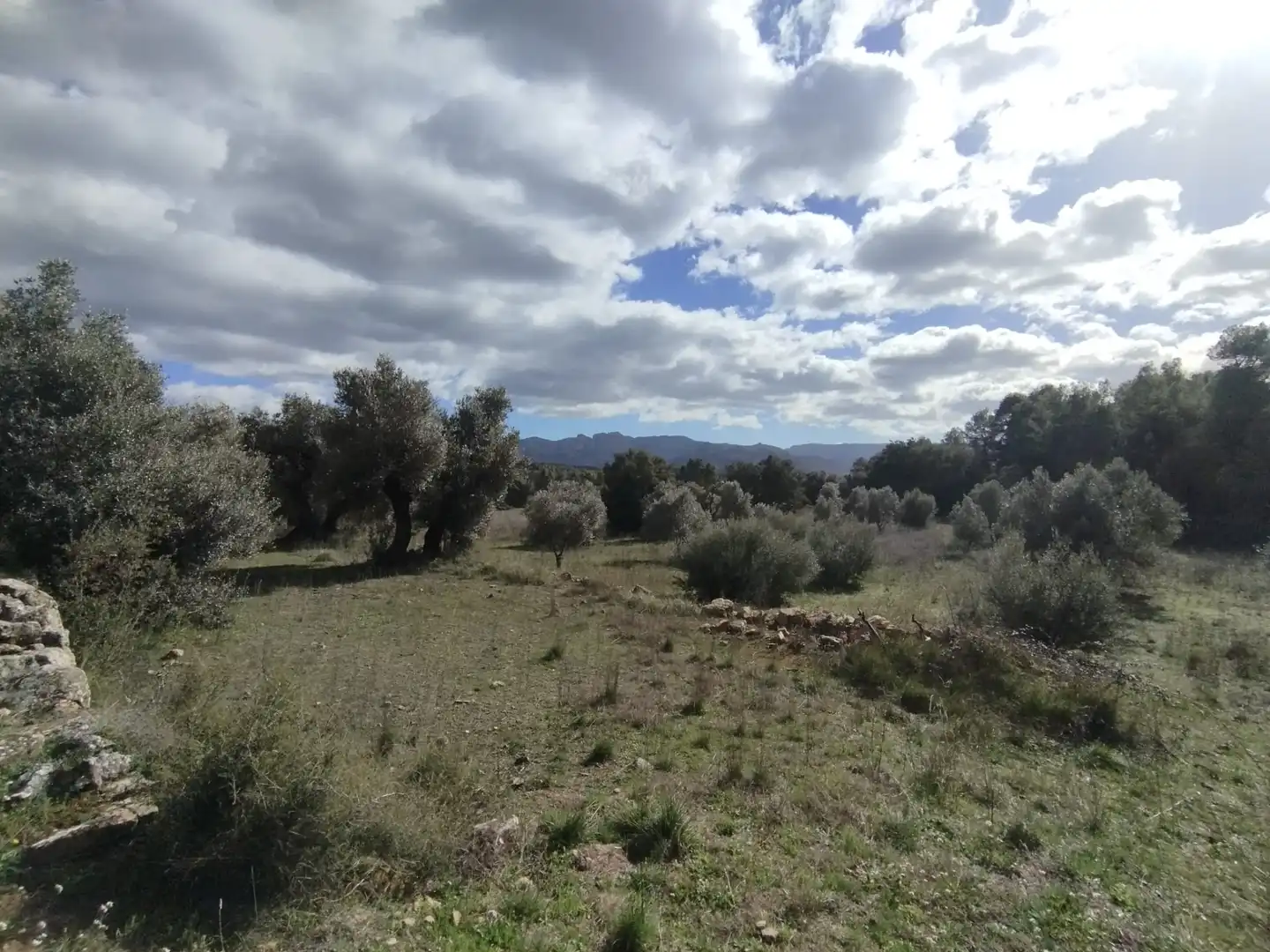 Terreni e lotti in vendita a Lledó, imagen 5