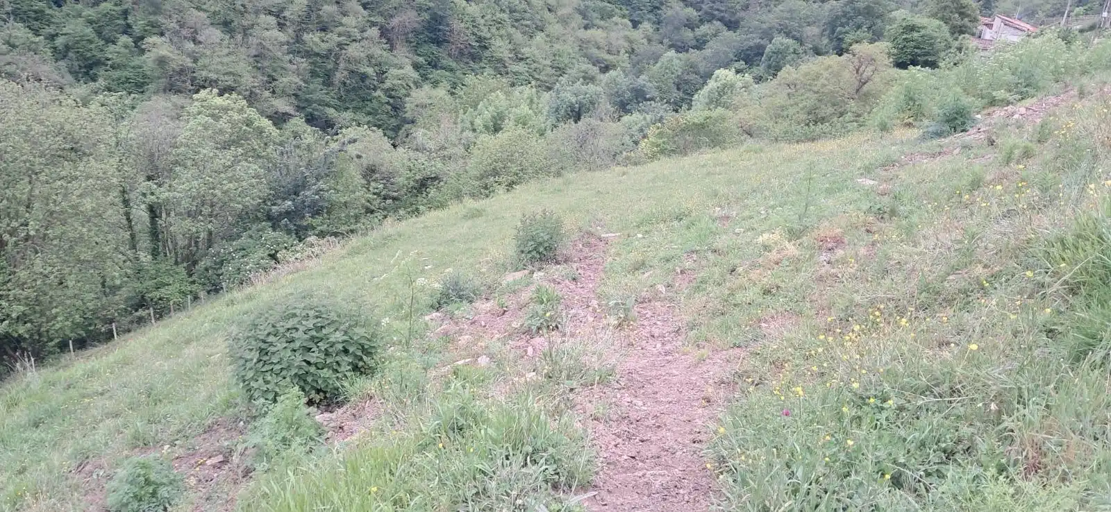 Lands and plots for sale in Lena, imagen 12