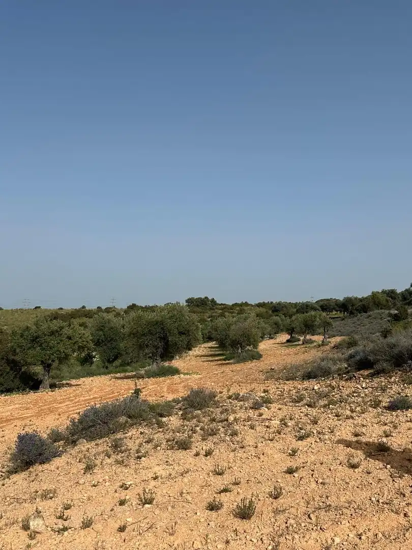 Terreno en venta en Morata de Tajuña
