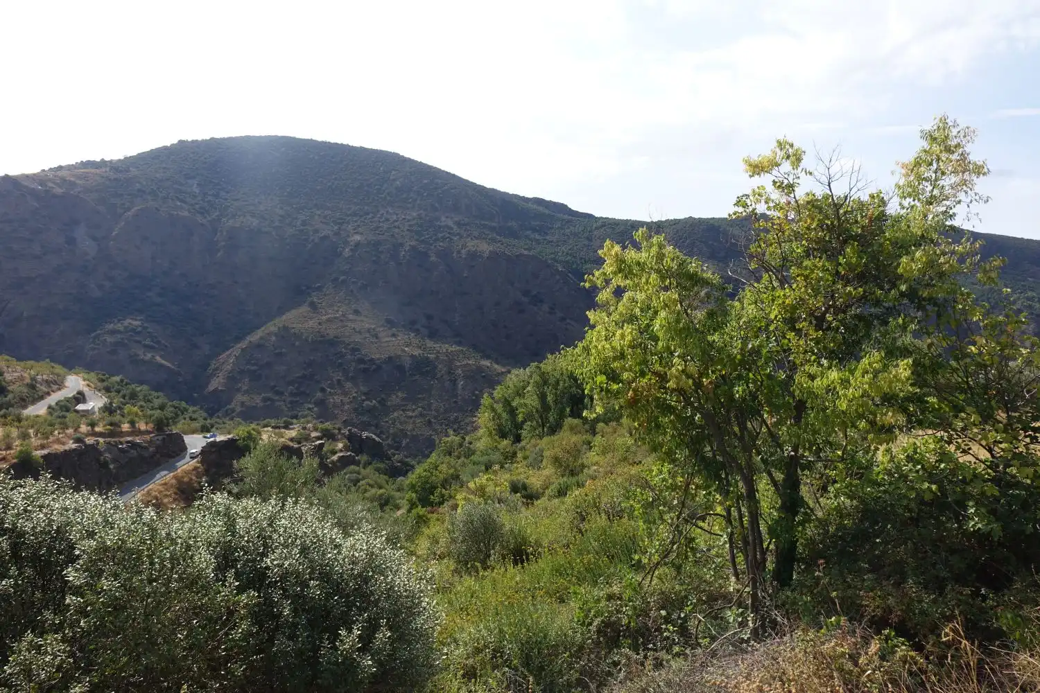 Vista exterior de Finca rústica en venta en La Taha