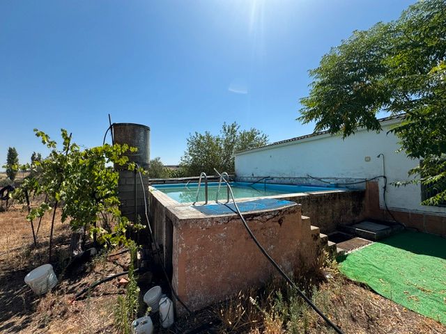 Swimming pool of Country house for sale in Mérida