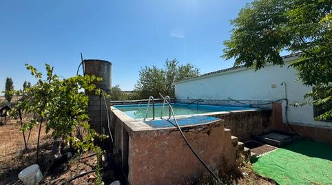 Foto 3 de Finca rústica en venda a Sur, Mérida