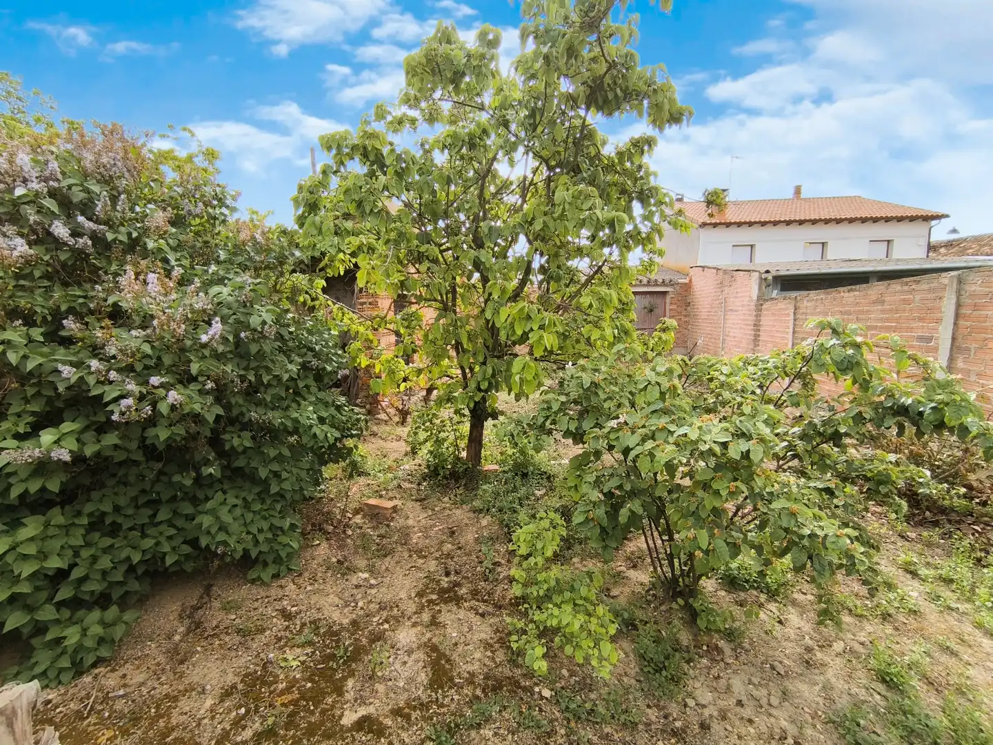 Casa o xalet en venda en Pedraza de Campos amb Calefacció, Jardí privat i Traster