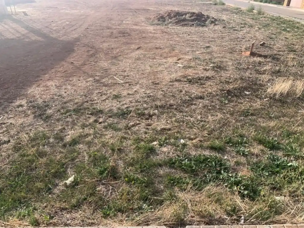 Terreno residenziale in vendita a Membrilla, imagen 4