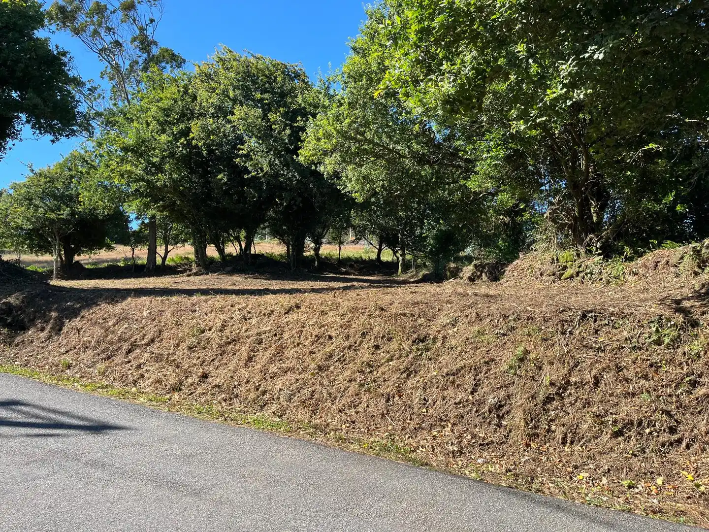 Terreni e lotti in vendita a Lugar Mourente, imagen 5