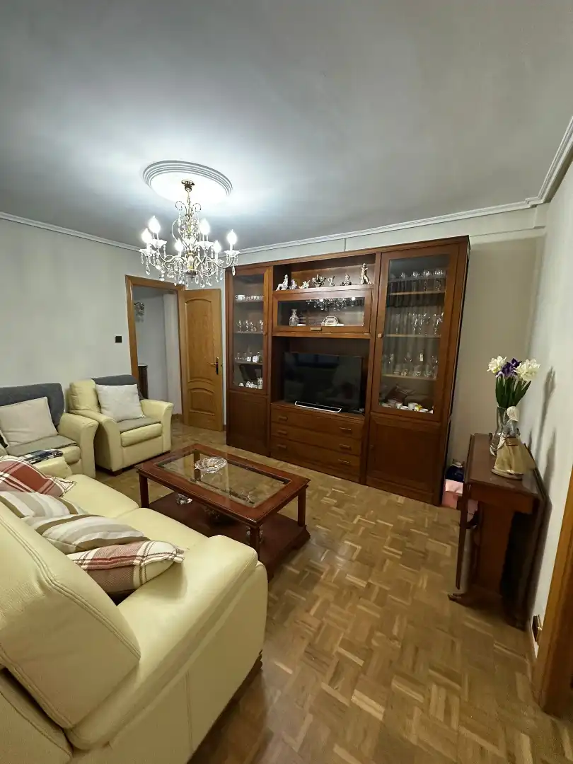 Sala d'estar de Pis en venda en Valladolid amb Calefacció, Parquet i Moblat