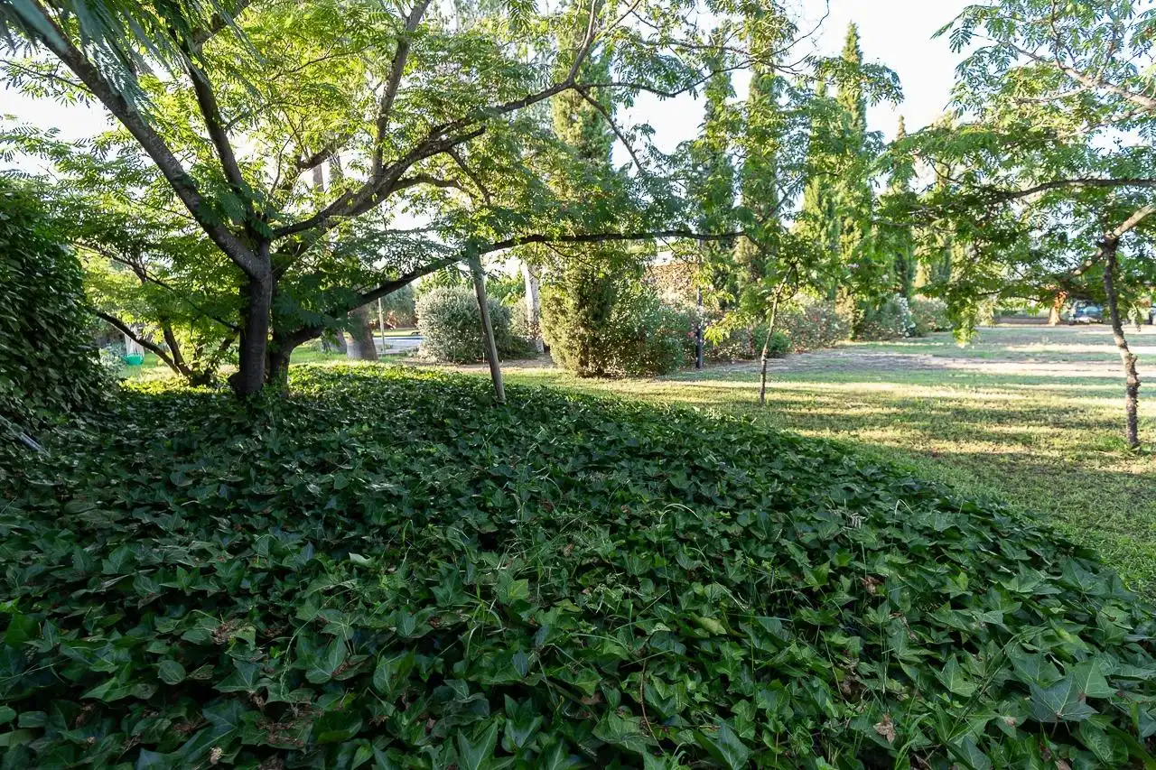 Maison rustique à vendre à Riudoms, imagen 31