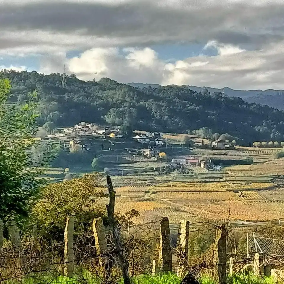Maison à vendre à Cenlle, imagen 8