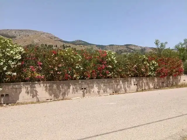 Exterior view of Land for sale in Onil